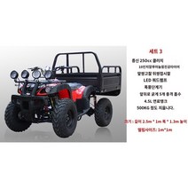 ATV 사륜바이크 사륜구동 AT 카고 버킷 포함 농부차 사륜 산악 오프로드 오토바이 축 회전 디퍼렌셜 250, 03 세트3 250cc풍냉（빅 불스）