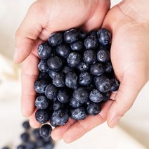 생 블루베리 생과 칠레 국산 미국산 제철 부르베리 250g