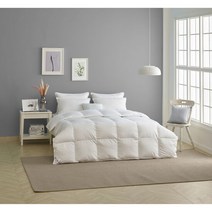 프라우덴 헝가리 구스베개솜600g/화이트베개커버 세트