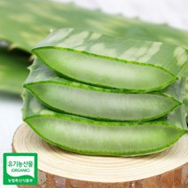 ++티앤북++알로에 쥬스용 생잎 싱싱한 알로에즙 사포라니아 식용 주스+++, +++_단일상품+++, +++_단일상품+++