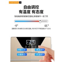 소형냉동고 서랍형냉동고 미니 음식물 가정용 자동차 냉장고 소형 냉장 기숙사 냉동 겸용 렌탈 룸 냉온수 박스 20L, [24] [22L 압축기] 영하 -20°C (터치스크린