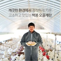 신선한 백봉오골계 유정란 10알, 백봉오골계 초란20알