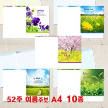 꿈마을예닮 주보 교회주보 기성 예쁜주보 칼라 팬시 예배순서지 청년부 주일학교 주보도안 주보디자인 인쇄 교회요람 감사노트 서류봉투 설교집 교회용품 여름주보 A4 10종 추천, 1세트