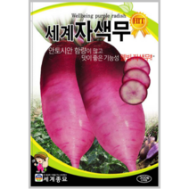 세계 자색무 100립/보라무 무우씨앗 적색무 종자