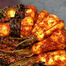 전라도꽃김치 국산 전라도맛있는김치 전라도김치 재구매 많은 가정식 수제김치 당일제조하는 생김치 모든재료 국내산 총각무김치, 5kg, 1개