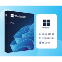 MS 윈도우 11 프로 한글 처음사용자용 패키지 FPP (설치용 USB메모리 제공) 병행 정품