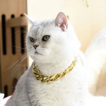강아지 고양이 금 은 목걸이 체인 반려동물, 골드