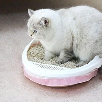 간편 고양이 화장실 봉투 배변봉투 3롤 세트(114x45cm)
