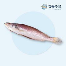 부산 부전시장 삼득수산 반찬용 반건조생선 민어조기 24cm 9마리