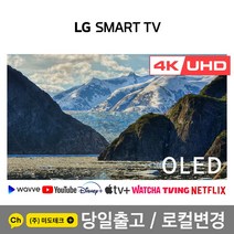 LG 55인치 4K 올레드 스마트 UHD TV OLED55C1 울트라HD, 1. 수도권역 스탠드 +HDMI2.0증정