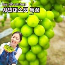 프리미엄김천샤인머스켓2kg