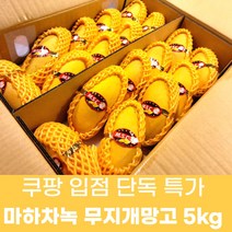 언택트마켓 항공직송 프리미엄 태국 마하차녹 무지개 레인보우망고 5kg 18수, 1BOX(특대 5KG 10-12과)