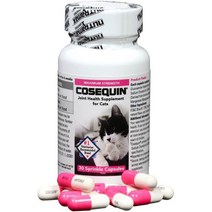 미국 Nutramax Cosequin 고양이 노령묘 관절영양제 30캡슐 글루코사민 및 콘드, 상품선택