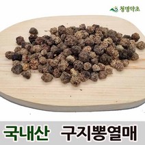 구찌뽕열매 구지뽕열매 (300g 2개 600g)-국내산