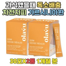 차전자피다이어트 과식했을때 독소배출 단기 HCA DIET 운동안하고 효과좋은 다이어트 차전자피먹는법 출산후관리 점심 식단조절 여름 산후 자기전다이어트 뱃살 똥배 윗배 빼기 도움