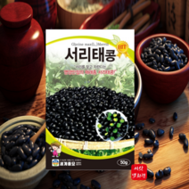 서리태씨앗 종자 30g 검은콩 씨앗 종자 서리태