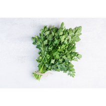 고수 1단 (약350g) 채소팜, 1개