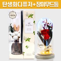 탄생화 디퓨저 선물 세트 12월 탄생화 목화 + 장미 무드등 여자 친구 여사친 엄마 언니 선생님 직장동료 생일선물 집들이선물 결혼선물 실내 디퓨저 실내 방향제 디퓨져, 라벤더, 레드, 500ML