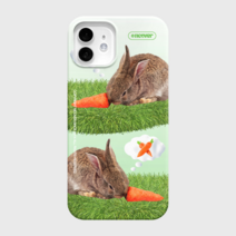 앤커버 CARROT LOVER RABBIT(하드)