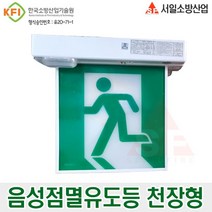 음성점멸유도등 천장형 대형 LED식 시청각경보기 2021년형 피난구 대우방재