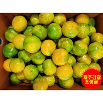 만보네귤 제주하우스감귤 조생귤 1.5KG 2.5KG 5KG 10KG, 만보네 1.5KG