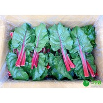 적근대(1.8kg - 2kg)