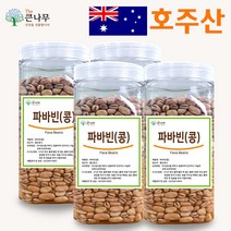 The큰나무 호주산 파바빈 콩 1kg 원물 23년산 햇 파바빈 수입사 직판 TV홈쇼핑 공급사, 4개