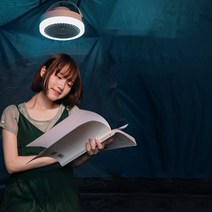 KAIDA 다용도 무선컨트롤 무드등실링팬 N2, 화이트