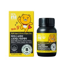 마이니 일동제약 스트레스케어비 비타민B군 나이아신 비오틴 홍경천 활력 에너지 지친몸 피로 자신감 체력 직장인 에너지영양제, 700mg, 1box