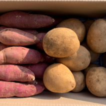 패밀리농산물 감자 고구마 구황작물 세트 3kg 5kg 10kg, 감자 5kg + 고구마 5kg