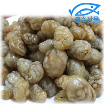 e수산물 마산 진동 오만둥이 1kg 미더덕사촌 오만디 맛있는 해물요리 해물찜 재료