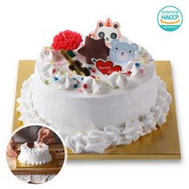 메이드케이크 2호케익 만들기세트 기념일 DIY 파티, DIY케익_2호_냉매포장(25kg), 본상품선택