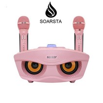 블루투스 마이크 가정용 노래방 무선 스피커, 골드