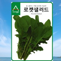 아시아종묘 루꼴라씨앗 로켓샐러드 (12g)