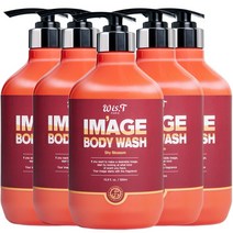 위스티 이미지 향기 좋은 등드름 완화 바디워시 샤이블라썸 500ml, 5개