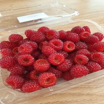 (다달다유통)2022년 햇 산지직송 생과 산딸기 500g 1kg 당일수확 당일발송 고당도 김해 상동 청도 생림 급 냉동 제철과일, 냉동 산딸기 1kg