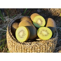 제주 골드키위 망고키위 한라스위트 제주도키위 2.5kg 5kg 25과 40과 내외, 1개, 2.5kg-중과 / 25과 내외