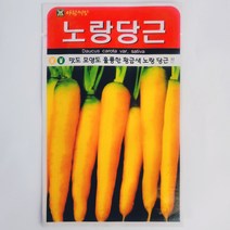 노랑당근씨500립, 1개