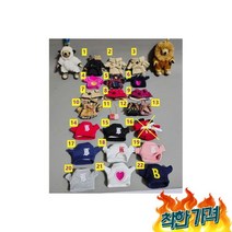 곰 베어 피규어 키 - I