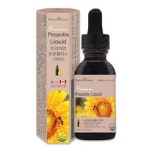 프리미엄 프로폴리스 리퀴드 플라보노이드 액상 30ml 캐나다 직수입 정품, 1병