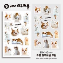 [치즈무드] 찐 체다 리무버블 스티커 2
