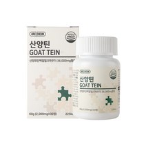 아르채움 산양틴 씹어먹는 산양유 단백질 츄어블, 60g, 6개