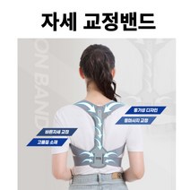 Aria 바른자세 어깨 밴드 허리 척추 교정기 굽은어깨 굽은등, 1개