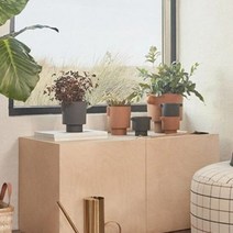 오이오이 [OYOY] 잉카 카나 화분 S (택1), 단품