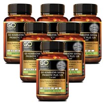고헬씨(Go Healthy) 고헬씨 콤부차 프로바이오틱 플러스 12B 60 베지캡슐 X 6개, 360캡슐, 1세트