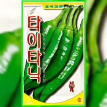 타이타닉 오이고추씨앗 100립 오이고추씨 종자