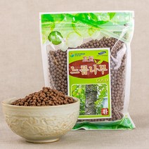 국산 느릅환 300g 한방환