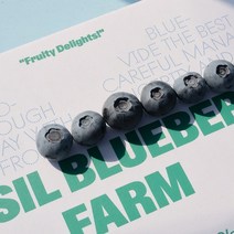 국산 생블루베리 생과 농장직영 당일수확 프리미엄 블루베리 600g, 대(16~18mm)