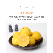(사은품증정)제주귤 황금향 프리미엄 과일 선물세트, 1박스, 3KG_중과(선물용)