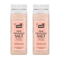 pal-salt 싸게파는 제품들 중에서 다양한 선택지